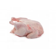 Kuře 1,4kg mražené