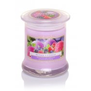 BARTEK CANDLES svíčka ve skle Wellness & Beauty - berries ice cream 260g
