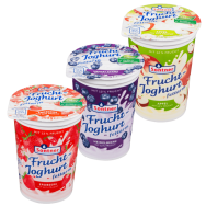 Sontner Frucht - Jogurt ovocný 250g ( mix)